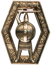 Norway front-line badge